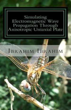 Simulating Electromagnetic Wave Propagation Through Anisotropic Uniaxial Plate de Ibrahim Ibrahim