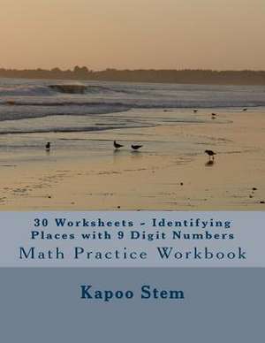 30 Worksheets - Identifying Places with 9 Digit Numbers de Kapoo Stem