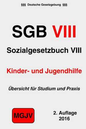 Sozialgesetzbuch (Sgb VIII) de Groelsv Verlag