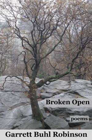 Broken Open de Garrett Buhl Robinson