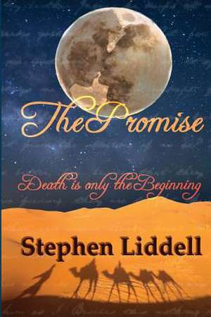 The Promise de MR Stephen Liddell