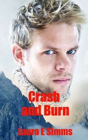 Crash and Burn de Laura E. Simms