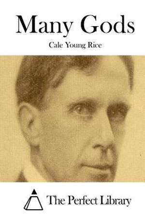 Many Gods de Cale Young Rice