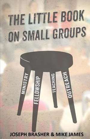 The Little Book on Small Groups de Joseph Brasher