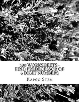 500 Worksheets - Find Predecessor of 6 Digit Numbers de Kapoo Stem