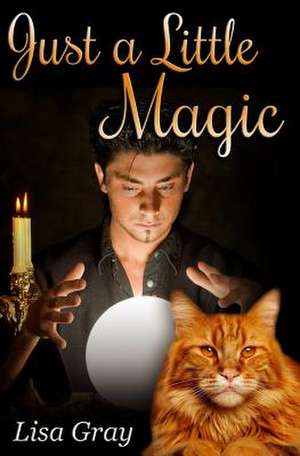 Just a Little Magic de Lisa Gray