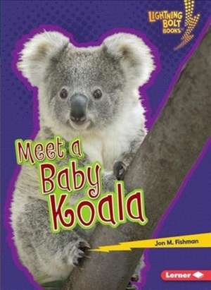 Meet a Baby Koala de Jon Fishman