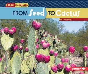 From Seed to Cactus de Lisa Owings