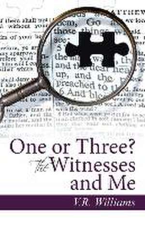 One or Three? the Witnesses and Me: 20 Tips on How the Republicans Can Shed Their Anger, Reclaim Their Respectability, and Win Back the White House de V. R. Williams