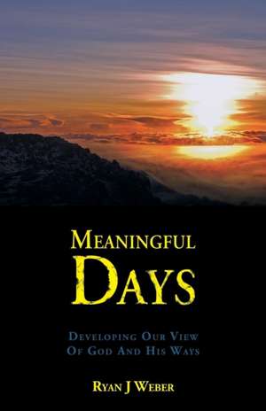 Meaningful Days de Ryan J Weber