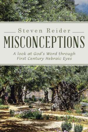 Misconceptions de Steven Reider