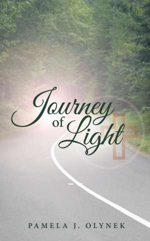 Journey of Light de Pamela J. Olynek