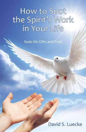 How to Spot the Spirit's Work in Your Life: Seek His Gifts and Fruit de David Luecke