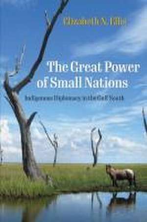 The Great Power of Small Nations – Indigenous Diplomacy in the Gulf South de Elizabeth N. Ellis