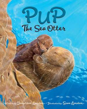 Pup the Sea Otter