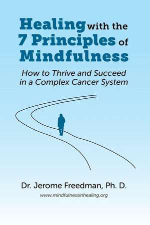 Healing with the Seven Principles of Mindfulness de Dr Jerome Freedman