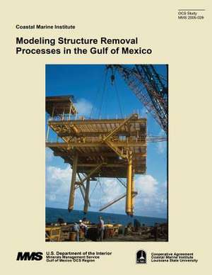 Modeling Structure Removal Processes in the Gulf of Mexico de Dmitry V. Mesyanzhinov