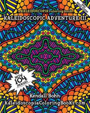 Kaleidoscopic Adventure III de Kendall Bohn