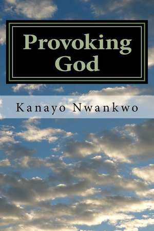 Provoking God de Kanayo Nwankwo