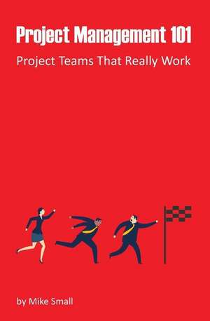 Project Management 101: Project Teams That Really Work de Mike Small