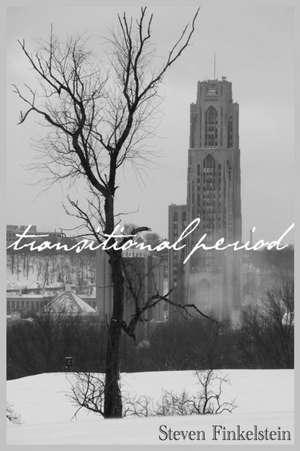 Transitional Period de Steven Finkelstein