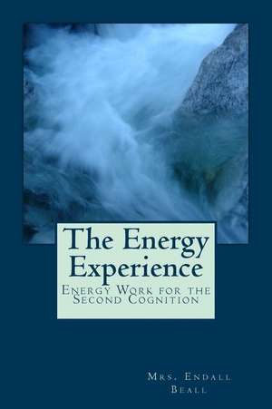 The Energy Experience de Mrs Endall Beall