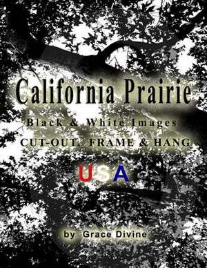 California Prairie Black & White Images Cut-Out, Frame & Hang USA de Grace Divine