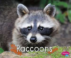 Raccoons de G. G. Lake