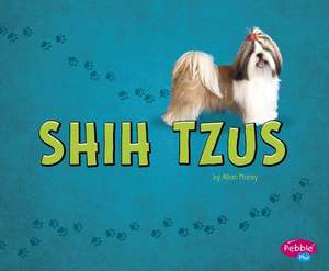 Shih Tzus de Allan Morey