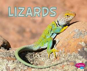 Davin, R: Lizards