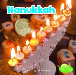 Hanukkah de Lisa J. Amstutz