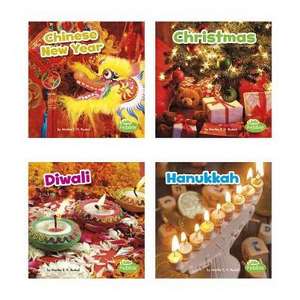 Holidays Around the World de Lisa J. Amstutz