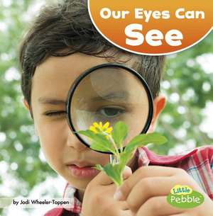 Our Eyes Can See de Jodi Lyn Wheeler-Toppen