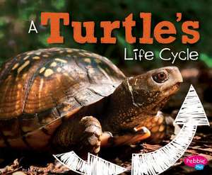 A Turtle's Life Cycle de Mary R Dunn