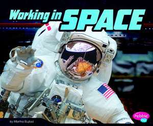 Working in Space de Martha E H Rustad