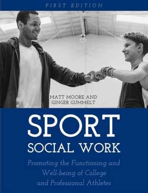 Sport Social Work de Matt Moore