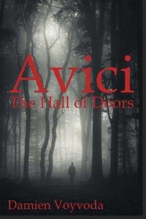 Avici de Damien Voyvoda