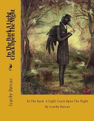 In the Dark a Light Crack Open the Night de Robin L. Loveless