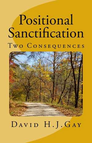 Positional Sanctification de David H. J. Gay