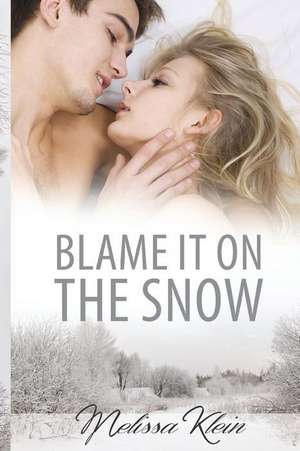 Blame It on the Snow de Melissa Klein