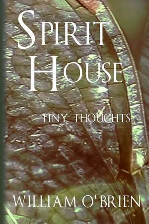 Spirit House - Tiny Thoughts de William O'Brien