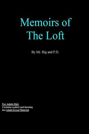 Memoirs of the Loft de MR Big