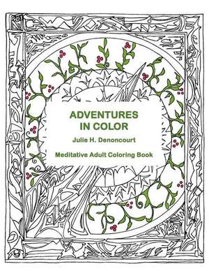 Adventures in Color de Julie H. Denoncourt