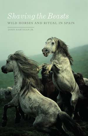 Shaving the Beasts: Wild Horses and Ritual in Spain de John Hartigan Jr.