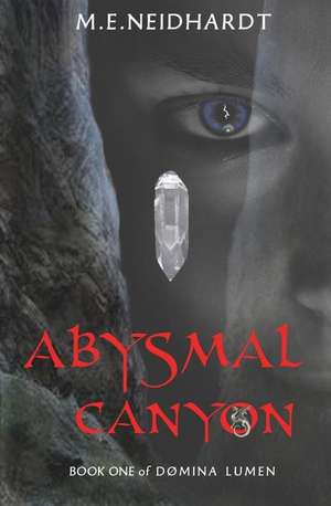 Abysmal Canyon: A Young Adult/New Adult Crossworlds Science Fantasy Novel (Domina Lumen Book 1) de M. E. Neidhardt