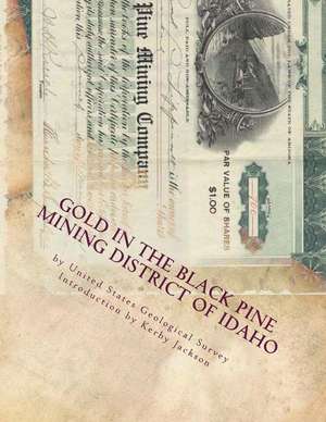 Gold in the Black Pine Mining District of Idaho de United States Geological Survey