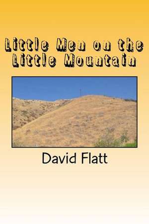 Little Men on the Little Mountain de David Flatt