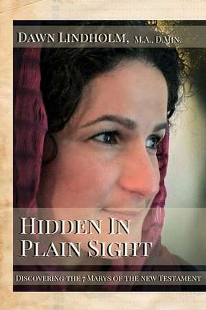 Hidden in Plain Sight de Dr Dawn Lindholm