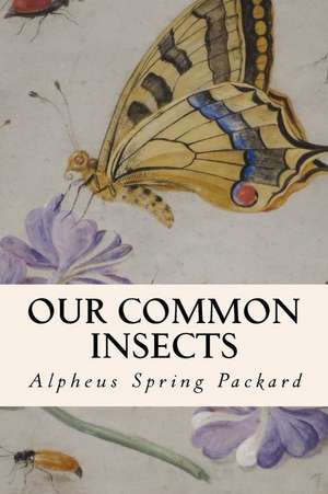 Our Common Insects de Packard, Alpheus Spring