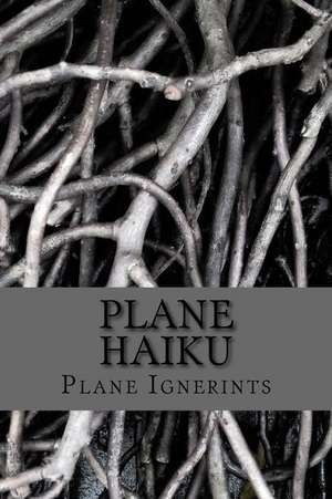 Plane Haiku de Plane Ignerints
